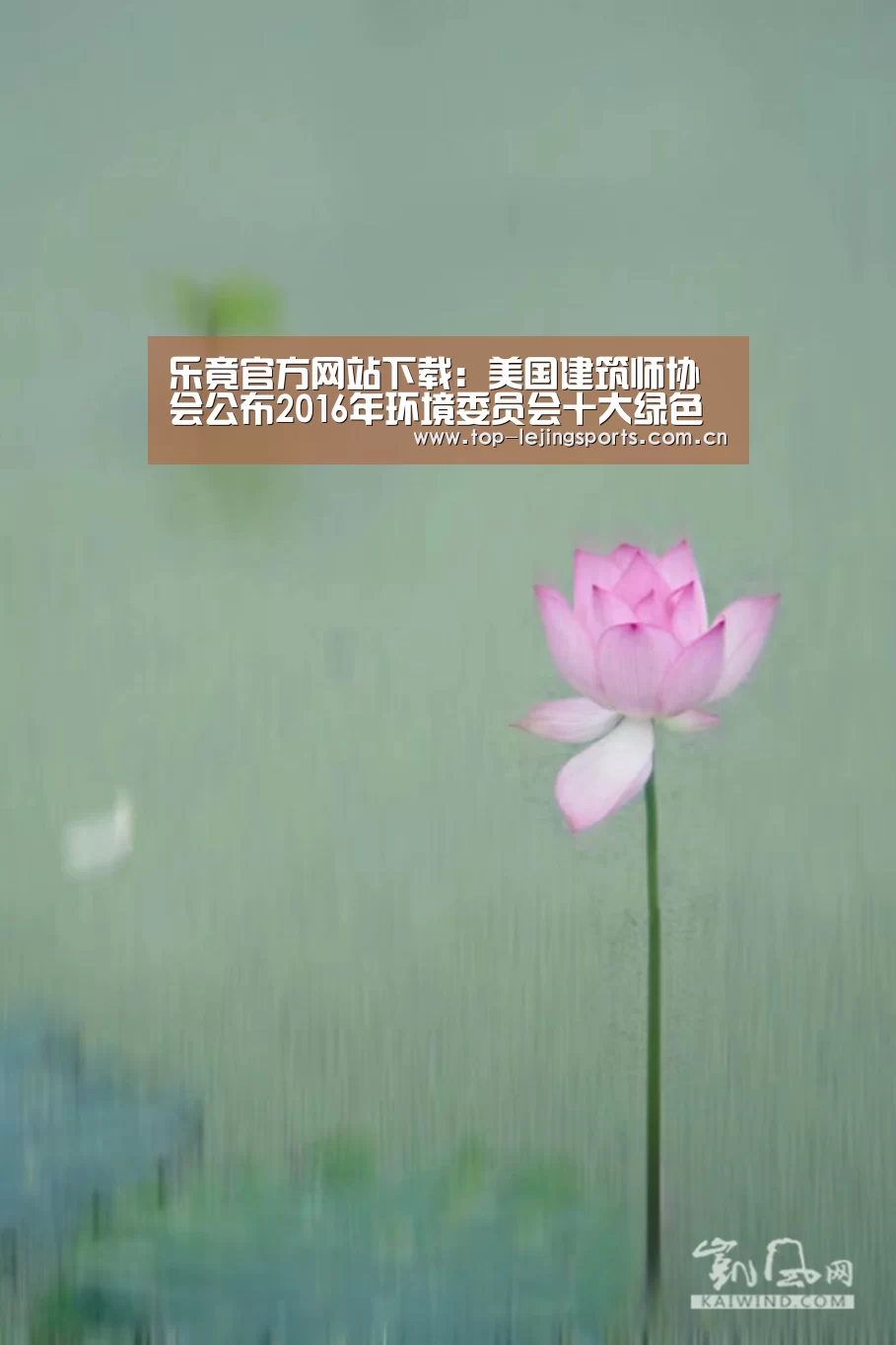 乐竟体育app